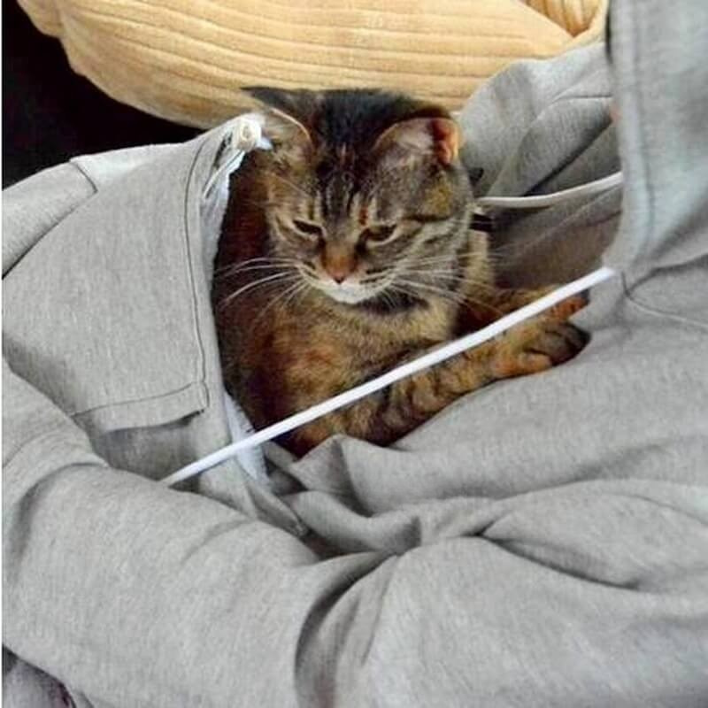 Sudadera Con Capucha y Bolsillo Para Mascotas Para Mujer | Ideal Para Uso Diario