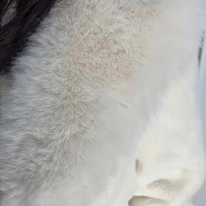 Abrigo con Cuello Amplio y Cinturón para Mujer | Ideal para El Invierno